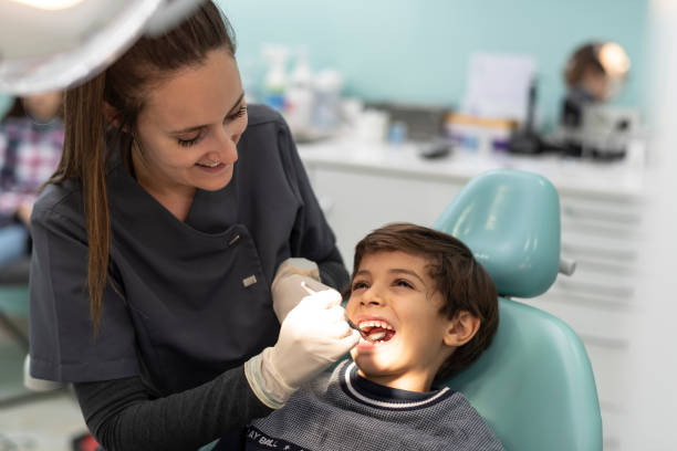 Best Emergency Dental Care for Broken or Chipped Teeth in Mledgevle, IL